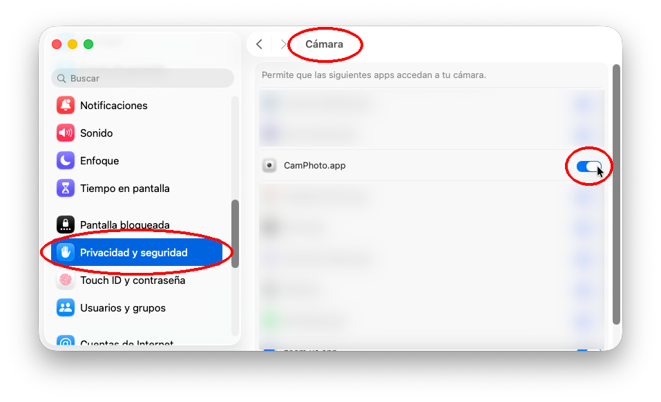 Ajustes de Privacidad y Seguridad - Cámara
